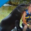 cancun-adventure-tours-sea-lion-discovery-cozumel-1
