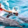 dolphin-royal-swim-riviera-maya