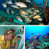Atlantis_Submarine_Tour_Cozumel_3