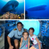 Atlantis_Submarine_Tour_Cozumel_7