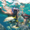 Catamaran_Cancun_Dancer_Cruise_Adventure_Tour_7