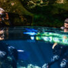 Cenotes_Diving_Rivera_Maya_Tour_0