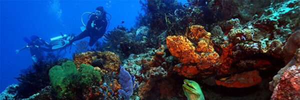 Discover_Scuba_Diving_Course_in_Cozumel_0