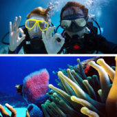 cancun_diving_trips_7