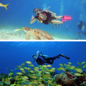 Dive_and_Drive_Cozumel_2