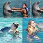 Dolphin_Encounter_Cozumel_3
