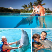 Dolphin_Swim_Adventure_Cozumel_2