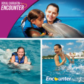 Royal Garrafon with Dolphin_Encounter_Isla_Mujeres_2