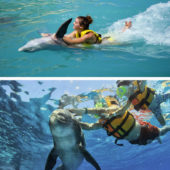Royal_Garrafon_with_Dolphin_Swim_Adventure_Isla_Mujeres_7