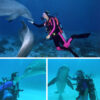 Dive_With_Dolphins_in_Cozumel_5