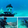 Dive_With_Dolphins_in_Cozumel_6