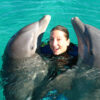 Dive_With_Dolphins_in_Cozumel_7