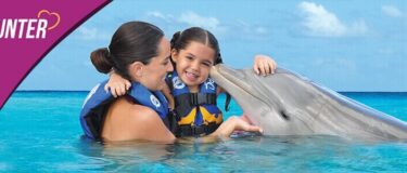 Dolphin_Encounter_Cozumel_0