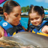 Royal-Garrafon-with-Dolphin_Encounter_Isla_Mujeres_0