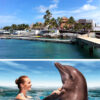 Royal Garrafon with Dolphin_Encounter_Isla_Mujeres_5